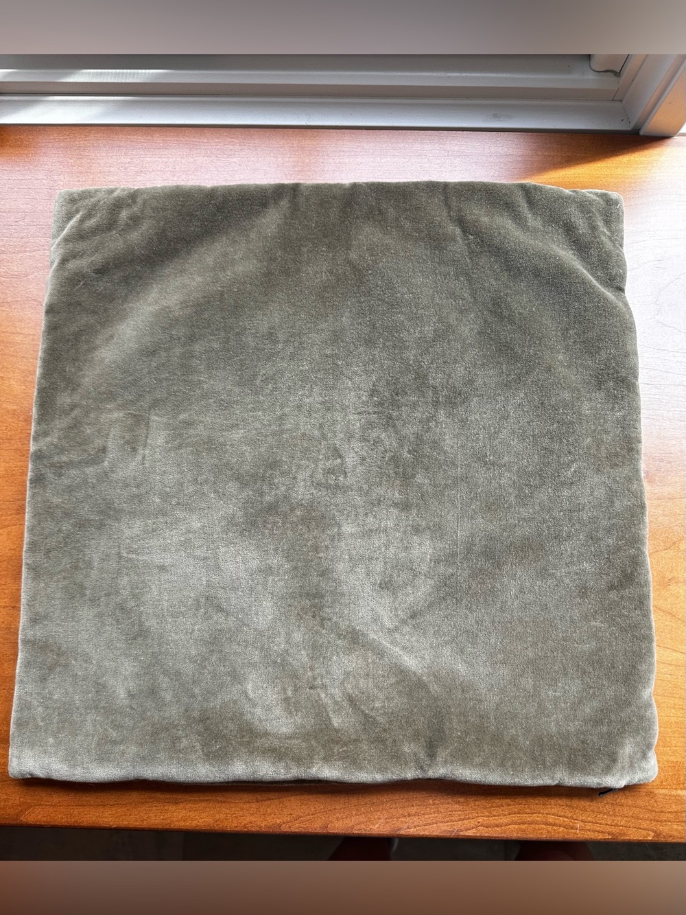 Threshold Plush Velvet Pillow Cover in Olive Green